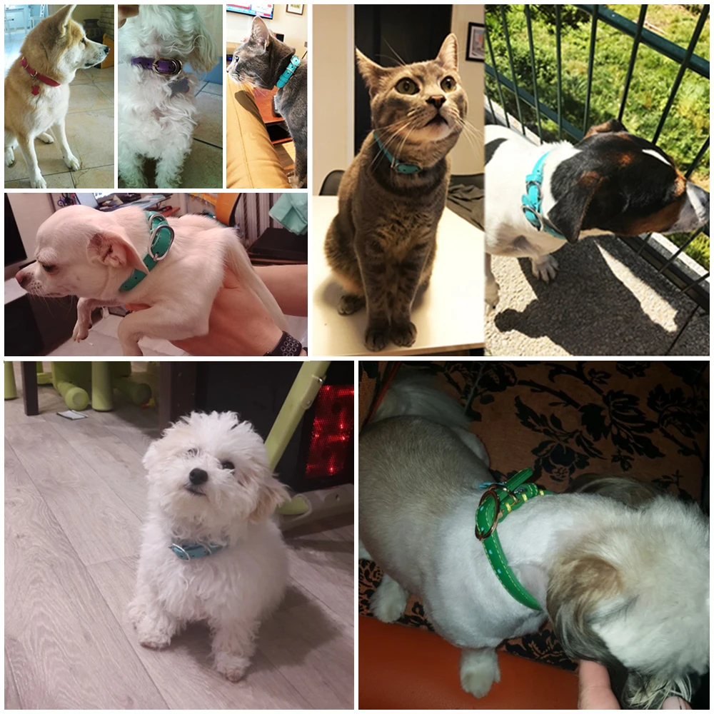 dog genuine leather collar (3)