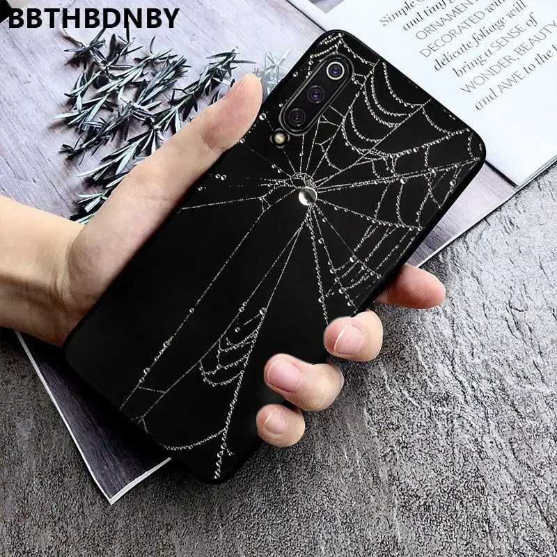 Spider Web