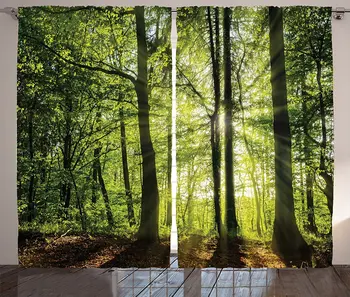 

Forest Curtains Sunny Forest in The Springtime with Sunbeams Rural Areas Jungle Nature Photo Art Living Room Bedroom Window Drap