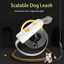 Reflektierende Hund Leine für Kleine Mittelgroße Hunde Leine Seil Hände Frei Elastische Training Laufen Seil Leinen Pet Produkte für Pet mops