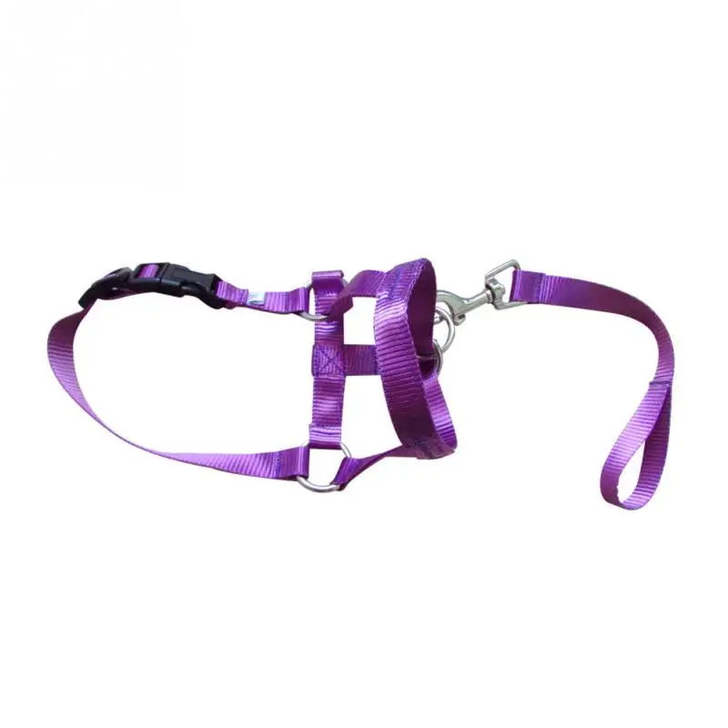 Nylon Dog Head Collar Pet Gentle Leader Training Halter No Pain No Pull Control Leash Adjustable Harness Training Nose Reigns - Цвет: Purple