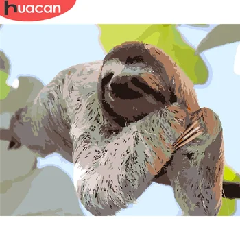

HUACAN DIY Pictures By Number Sloth Kits Hand Painted Picture Art Painting By Numbers Animal Drawing On Canvas Gift Home Decor