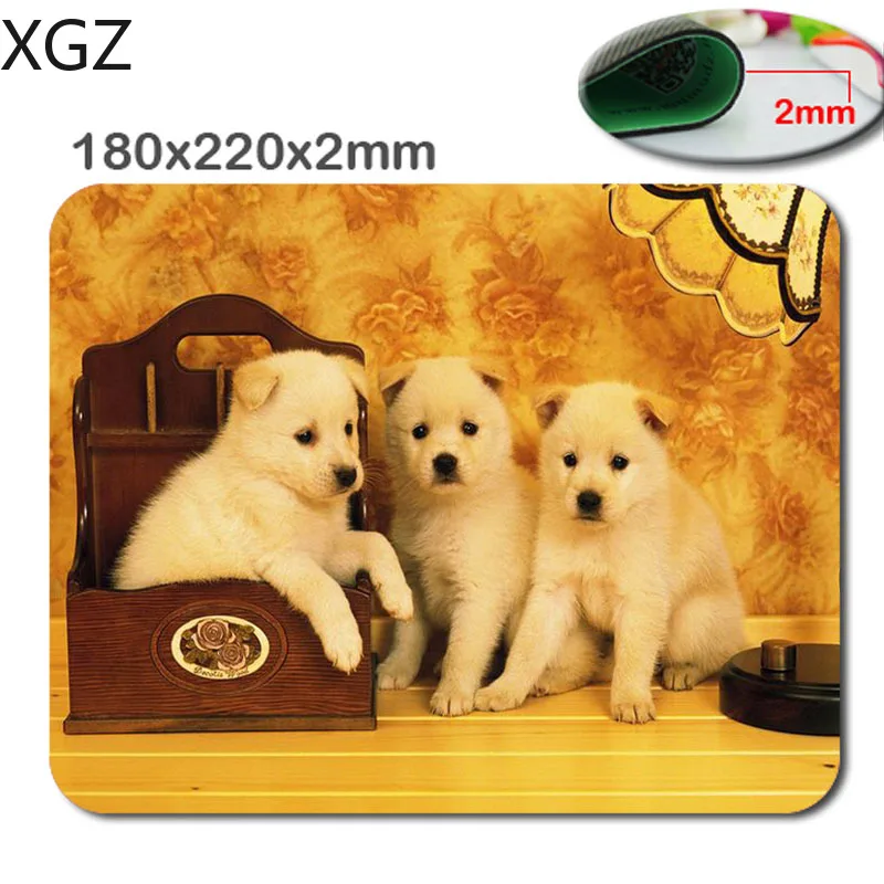 XGZ 동물 고양이 골든 리트리버 강아지 Mousepad, 직사각형 마우스 패드 220*180*2mm 사무용품 및