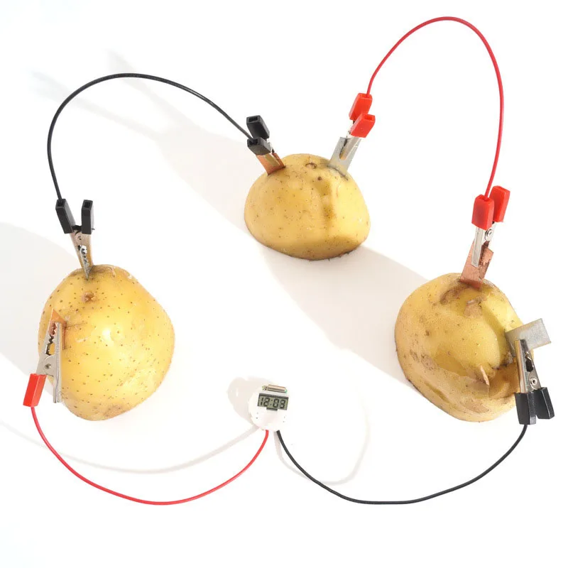 1 комплект Простой DIY научный эксперимент фрукты генератор Творческие дети преподавания физики ресурсы смешные школьные игрушки Поставки