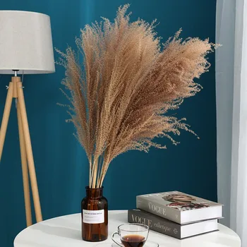 

10 Pcs Real Dried Small Pampas Grass Decor Wedding Flower Bunch Natural Home Decor Natural Phragmites Communis Plants Decor
