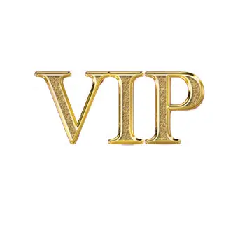 

VIP Feelingirl