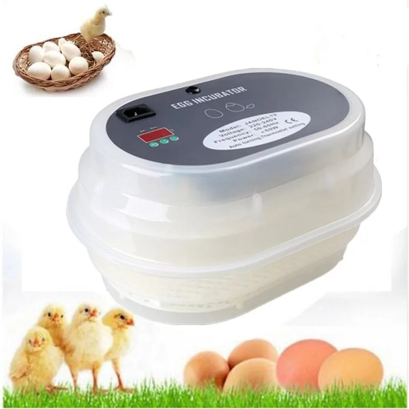 Small Capacity Automatic Egg Incubator Cheap Egg Incubator for Sale