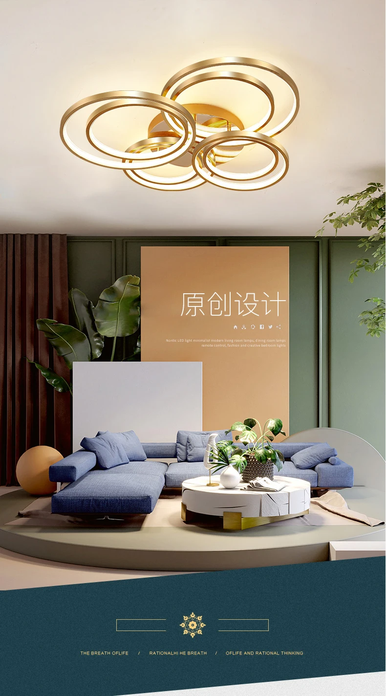 详情-英文_01