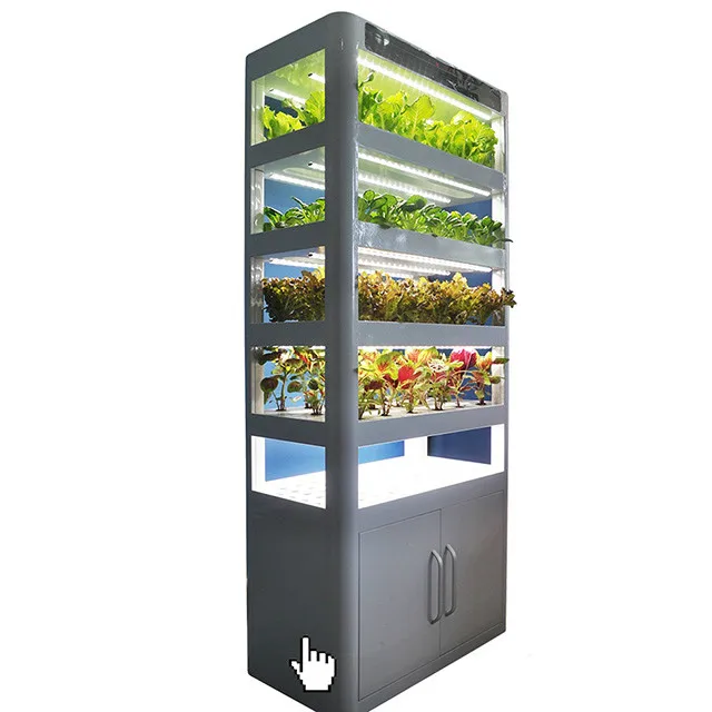 Greenhouse hydroponics growing systems for home growing fruits, vegetables, leafy greens, and flowers , fIsh