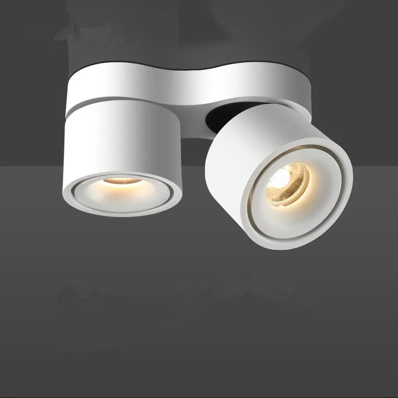 Downlight spotlight