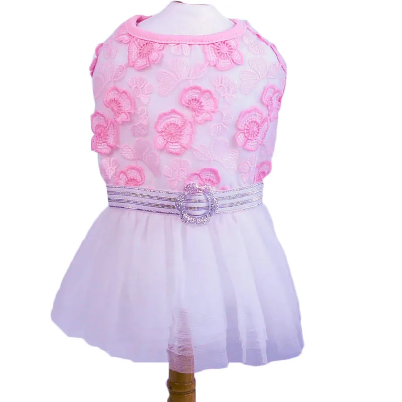 DRESS6