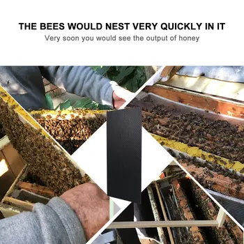 

10 Pcs Beekeeping Tools Bees Black Hive Base Bee Plastic Sheets Mesh Deep Foundation for Farm Outdoor Craft