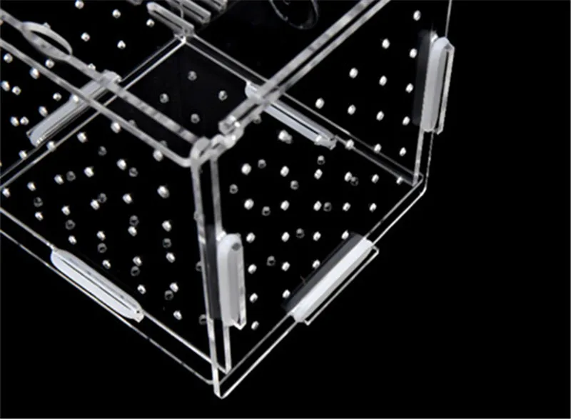 亚克力孵化隔离盒3