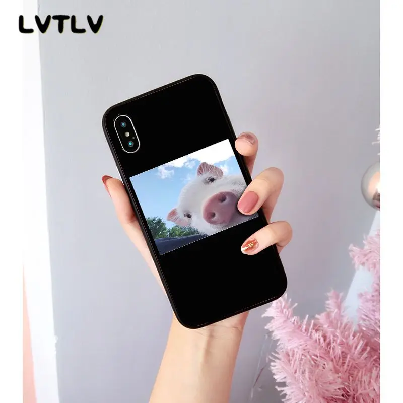 Cute Little Pink Pet Pig