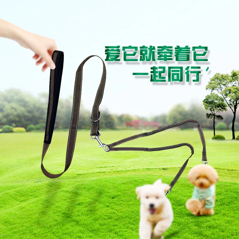 

Pet Supplies Dog Elasticity Elastic Double Traction Belt Pet Multi-functional Extendable Hand Holding Rope Distraction Double Tr