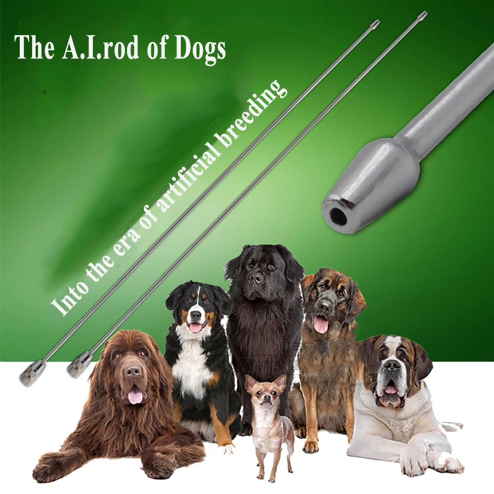 4PCS Sheep Goat Dog Canine Artificial Insemination Needle Pin Semen Injection Fresh Sperm Stainless Steel Pet Veterinary Clinic