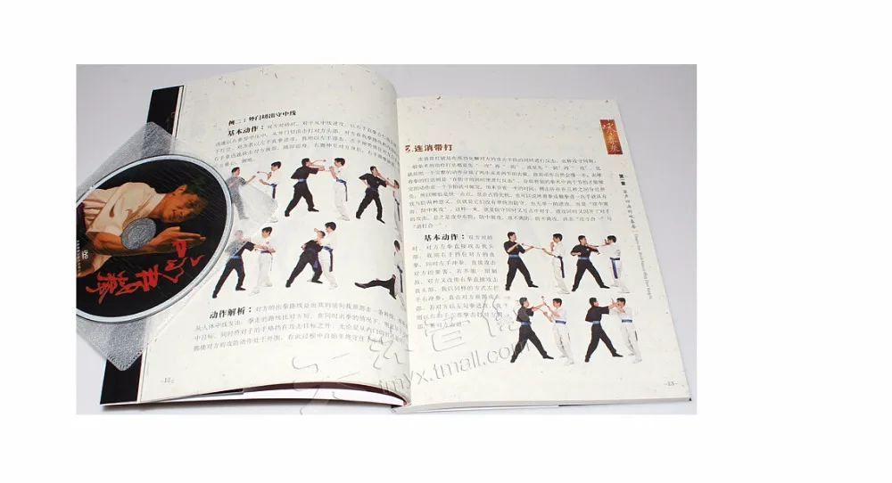 Booculchaha Wing Chun книга на китайском языке с DVD обучением китайскому кунг фу китайские
