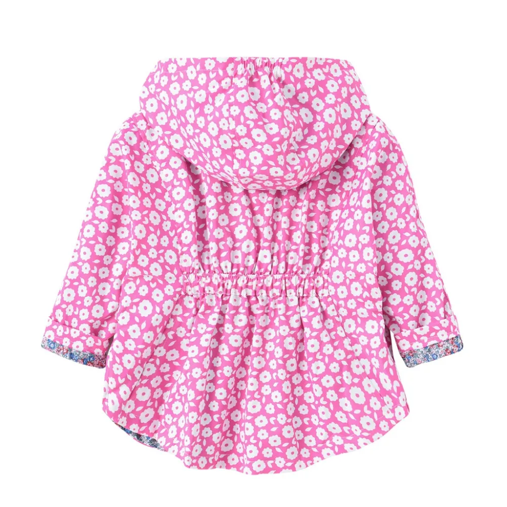 19483859113_1621349587