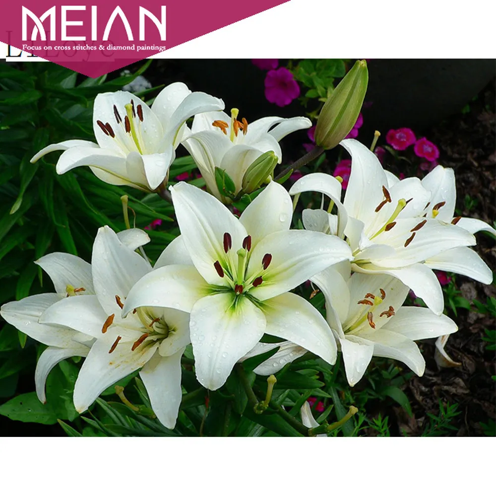 Алмазная живопись Meian Flower 5d сделай сам вышивка лилий наборы цветов мозаика