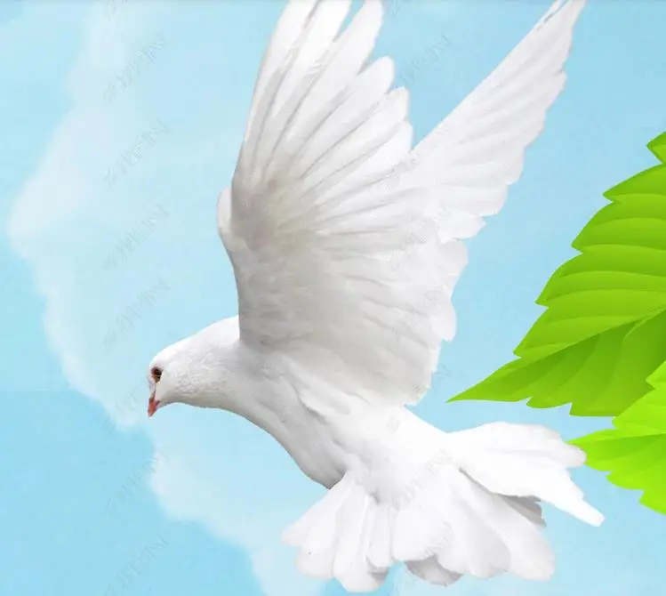 360截图20200414144639906