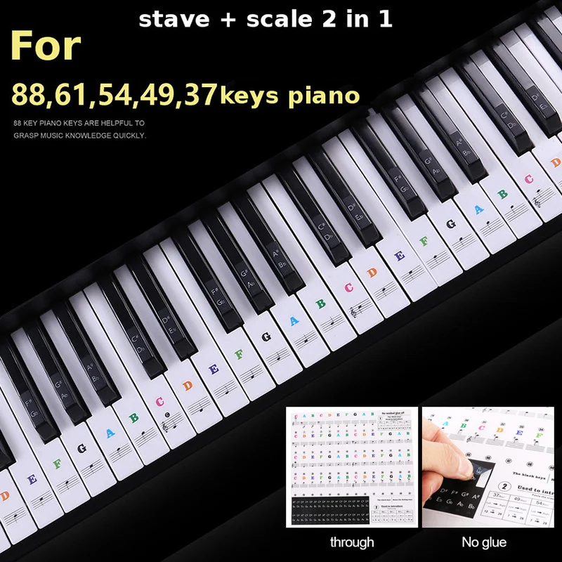 

Piano Sticker Labels of Piano and Electronic Keyboards of 37/49/54/61/88 Keys Transparent and Removable Suitable for All Brands