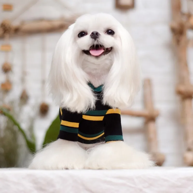 puppies hoodies dog clothes winter autumn wear (8)