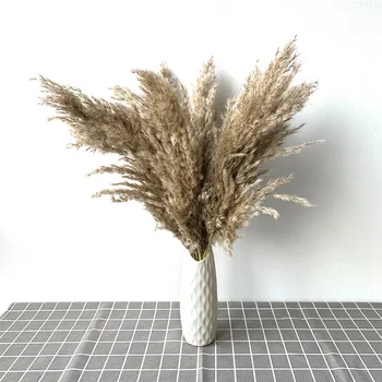 

real dried flowers pampas grass large decor natural plants Wedding Flowers bouquet with Plastic vase for Home Decor Good quality