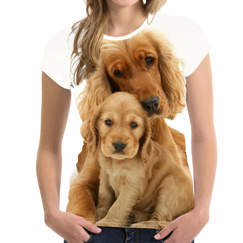 cocker spaniel clothes