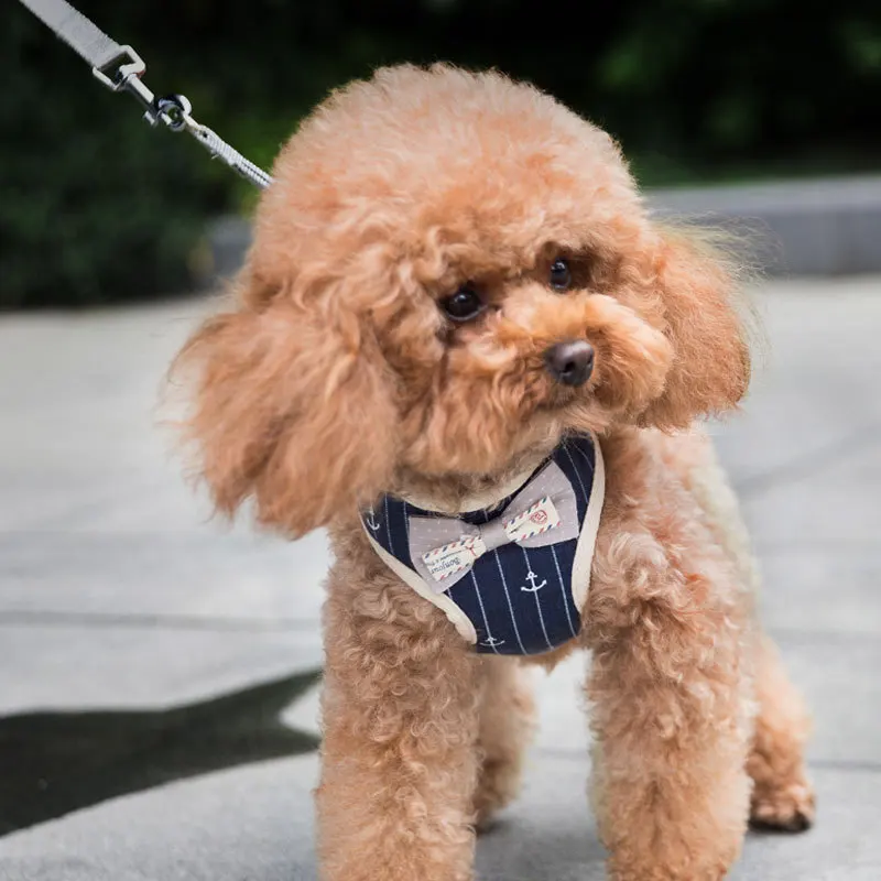 Cute Cat Harness and Leash Set Cloth Nylon Mesh Pet Puppy Harness Lead Cat Collar Clothes Vest For Small Cats Dogs Pet Supplies