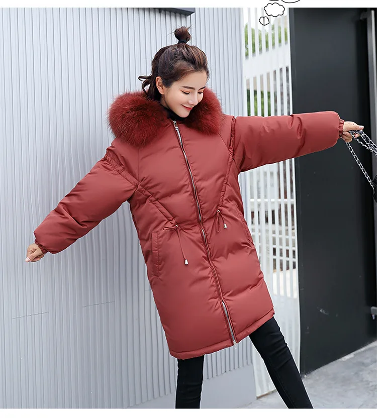 9021795619_1006637240