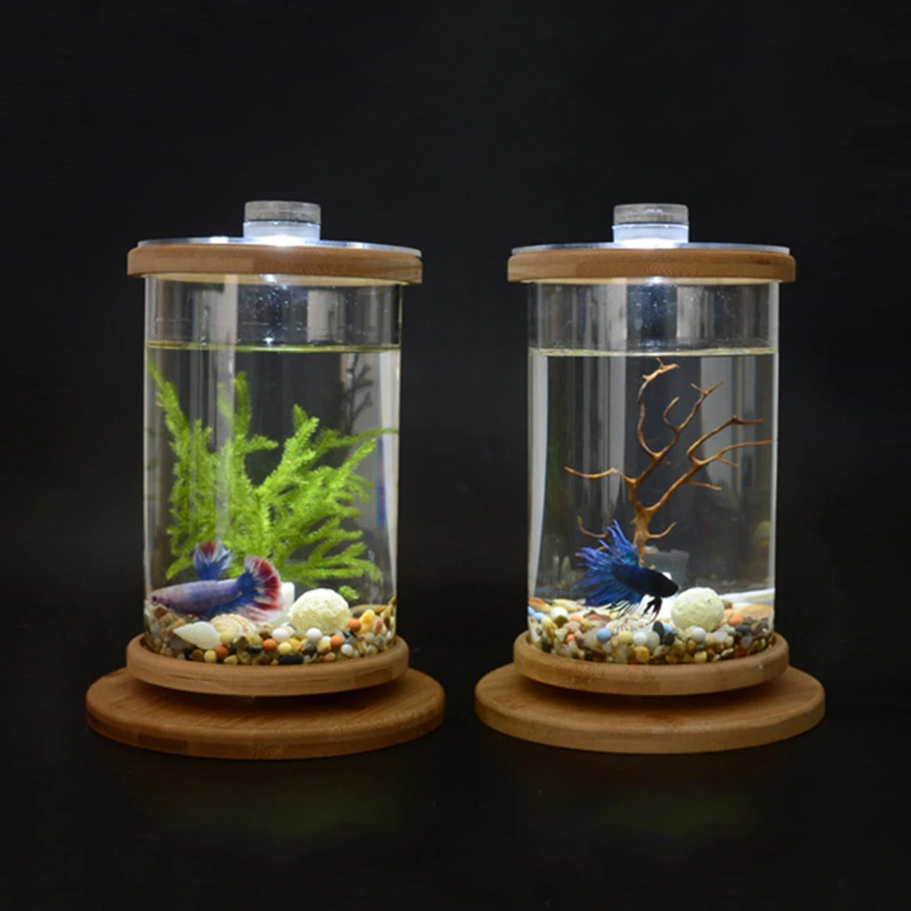 small fish tank decor