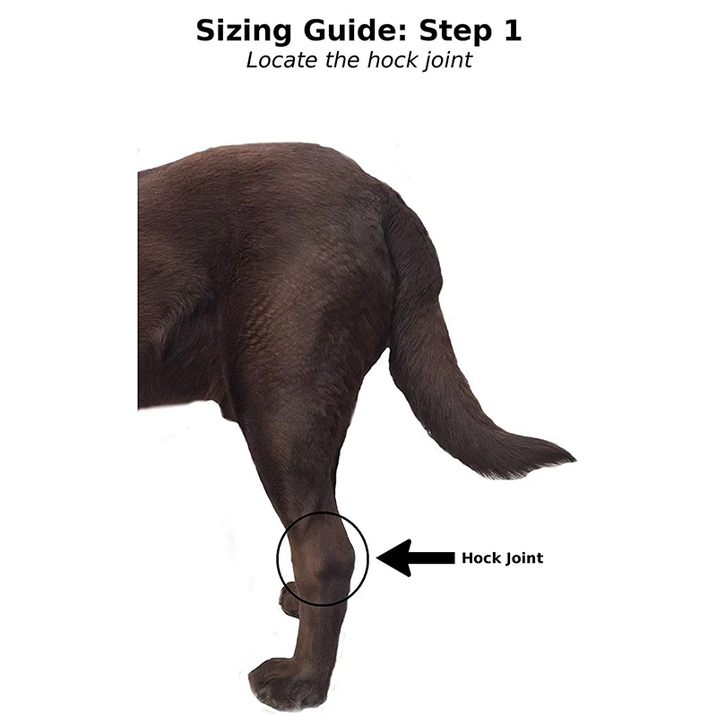 Canine Rear Leg Hock Joint Wrap Protects Wounds As They Heal Compression Brace Heals and Prevents Injuries and Sprains Helps A