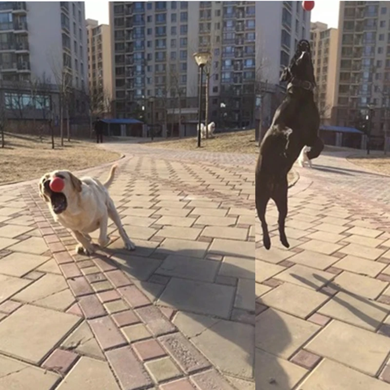 Игрушки для собак мячи жесткая и почти неразрушаемая игрушка всех но самые
