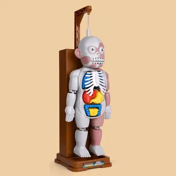 

Simulation Human Organs Neutral Plush Education Teaching Aids Diagram Apron For Children'S Basic Skills Development Toy 1 Set