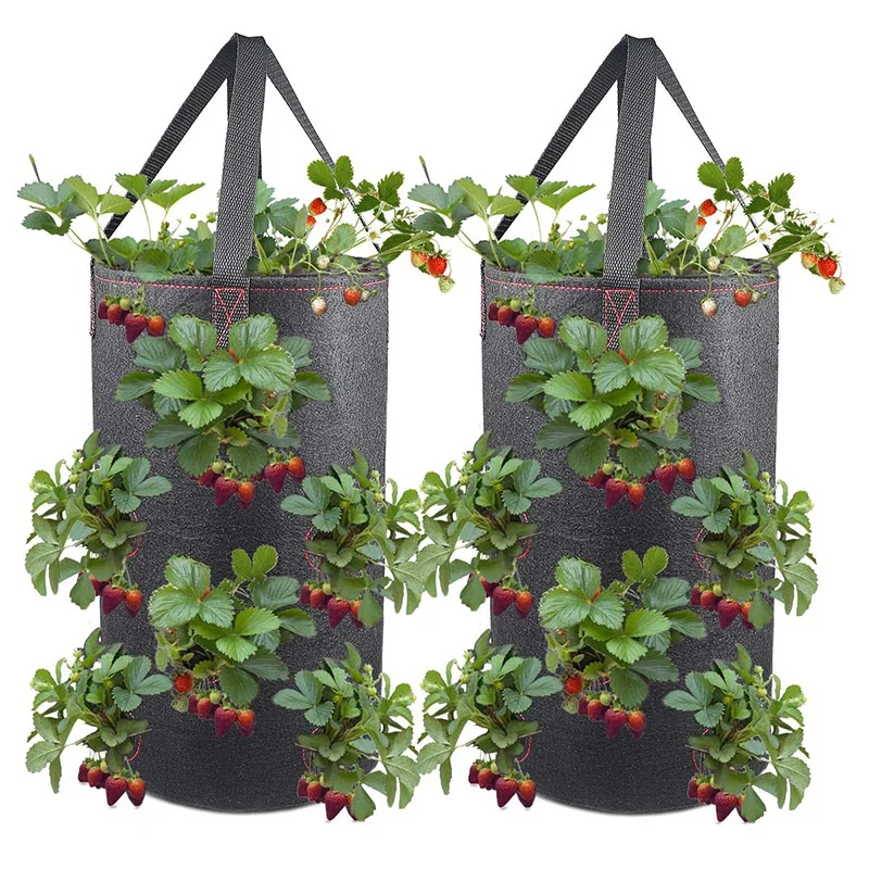Hanging Strawberry Planter for Strawberry Bare Root Plants 2 Pack