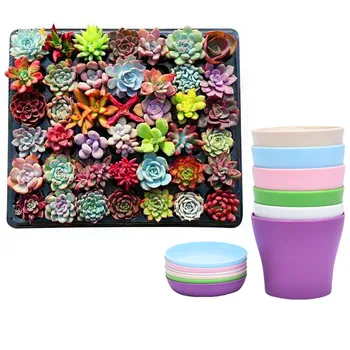 

Hot Sale Simple Lightweight Mini Planter Box Fake Vase Pot Tray Colourful Plant Plastic Gardening Fleshy Flower Pot