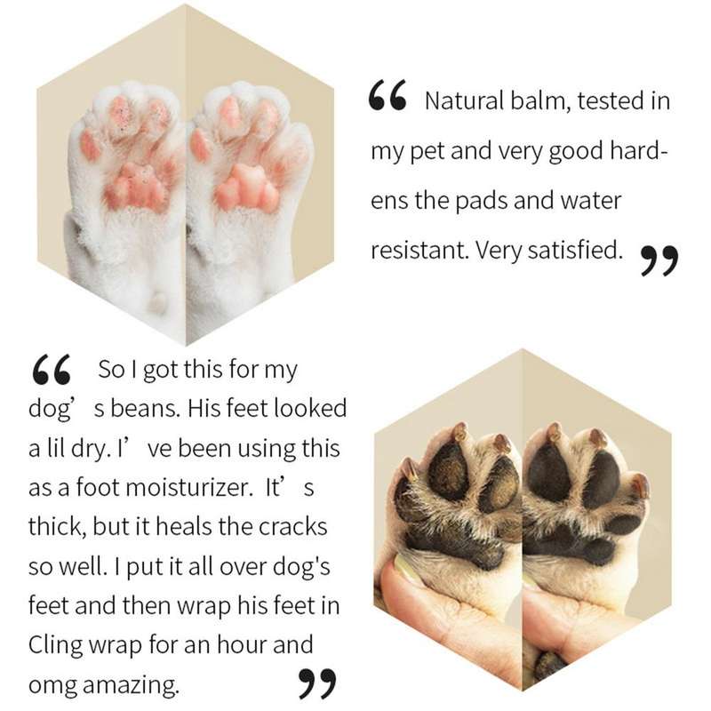 Dog Paw Balm Dog Paw Protection For Hot Pavement Dog Paw Wax LittlePuppy