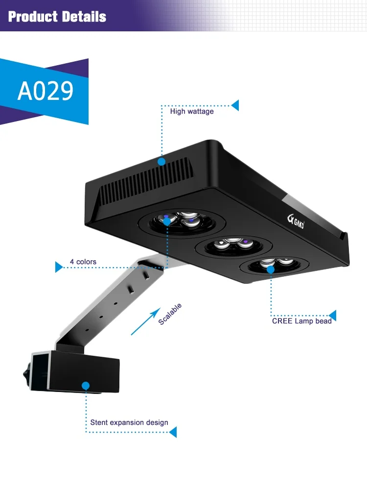 A029 P3