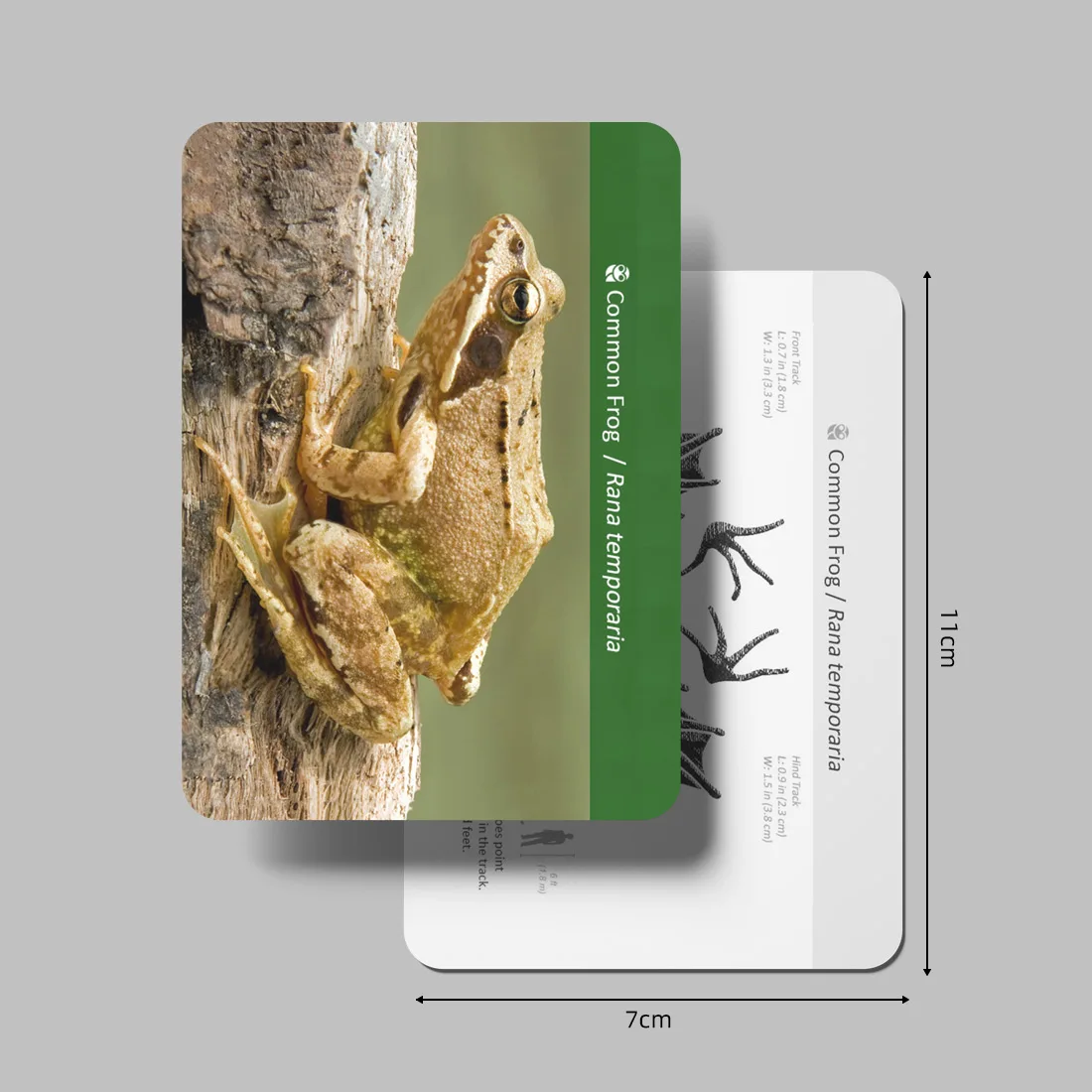 baby Montessori Toys