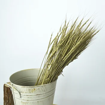 

50PCS Dried Flowers Oatmeal Wheat Decorative Dry Plant Real Flowers For DIY Home Vase Flower Arrangement