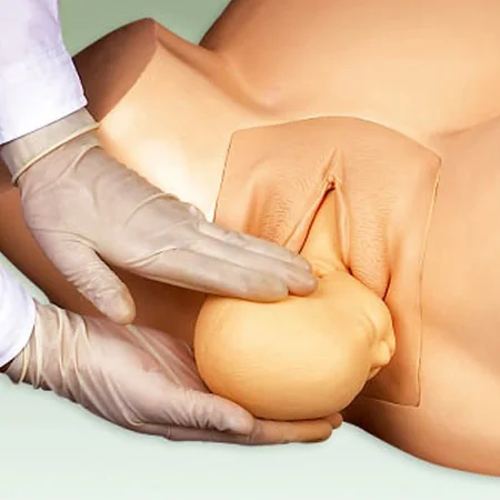 419A midwifery (6)