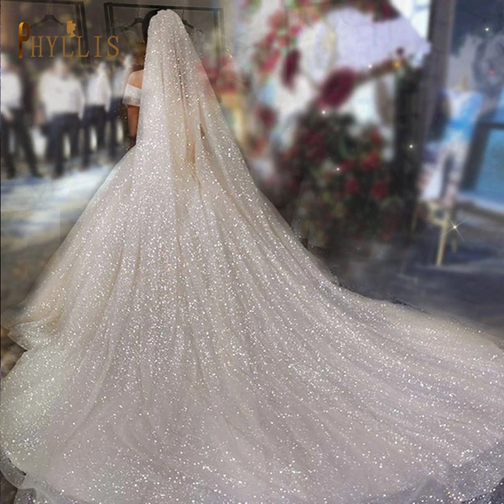 B58 Champagne Wedding Veil Bling Bridal Veils Long 3M/5M Sparkle Veil Cathedral Wedding Veils One Layer Shiny Veil with Comb