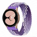 Grape purple