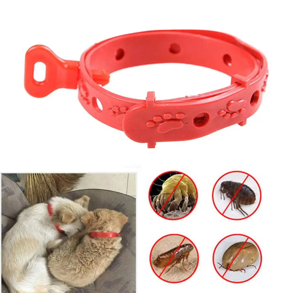 

42cm Adjustable Pet Cat Dog Puppy Rabbit Health Anti Lice Collar Anti Flea Tick Pest Mosquitoes Repellent Collar Neck Strap