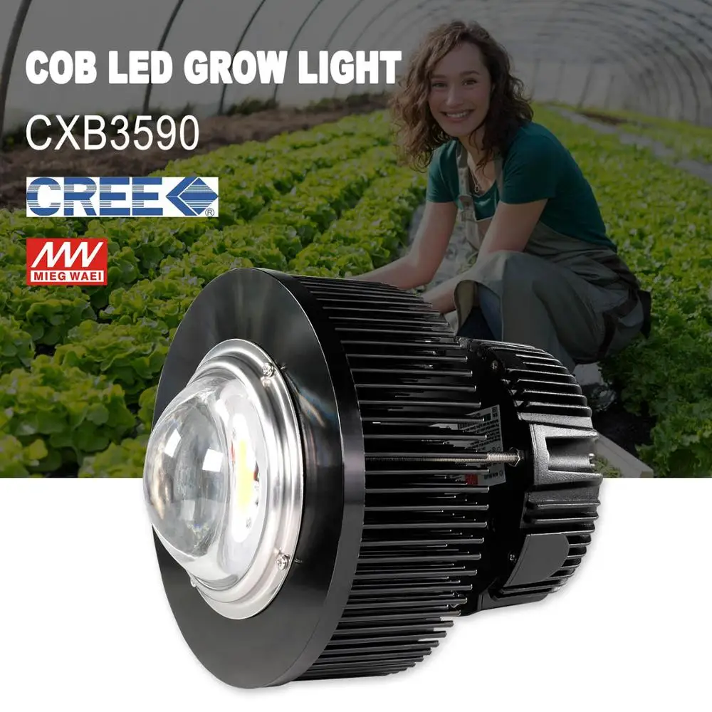 

Phlizon 100 watt grow led light cob full spectrum plant led lamp seeds vegetables flower lamp