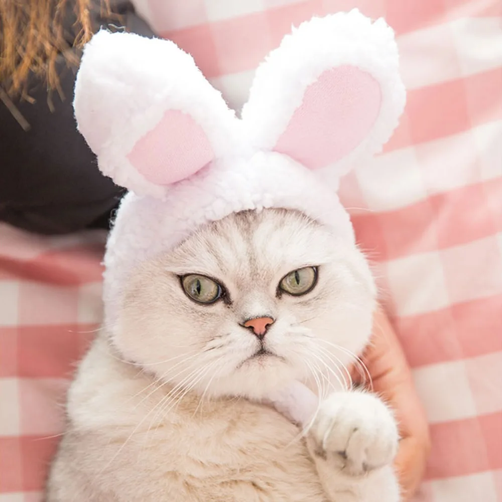 307640_no-logo_307640-1-04-g