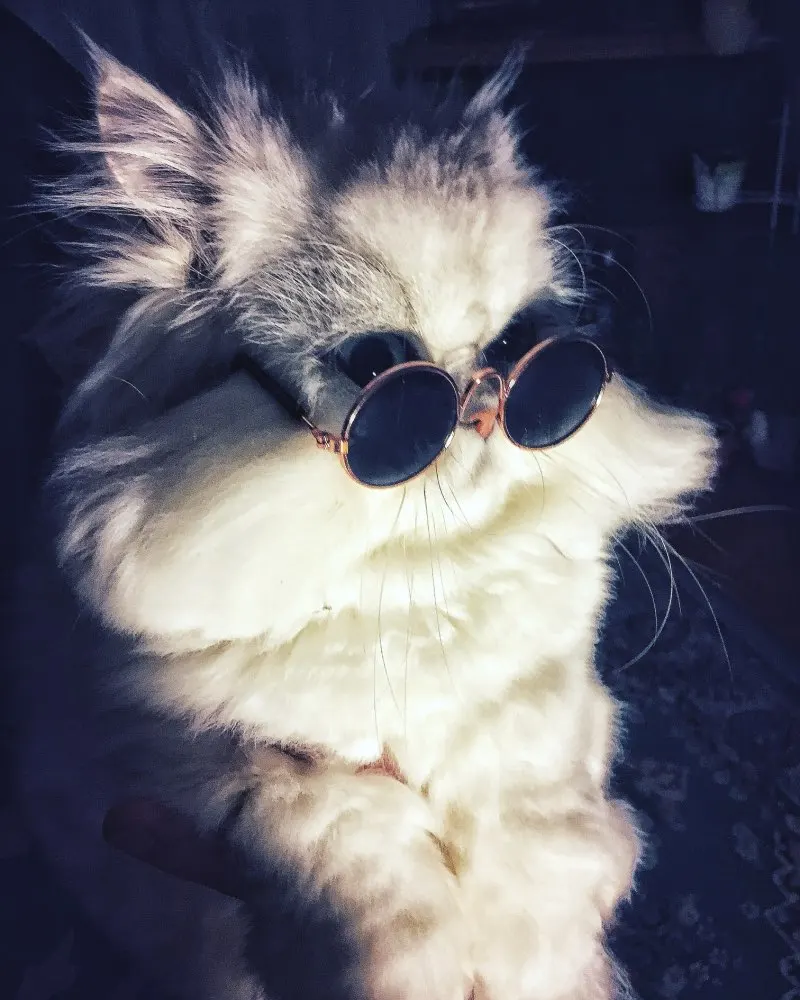Для кошки или собаки очков, товары для домашних питомцев оправы очков собака солнцезащитные очки фото реквизит аксессуары для животных принадлежности кошка очки-1 шт