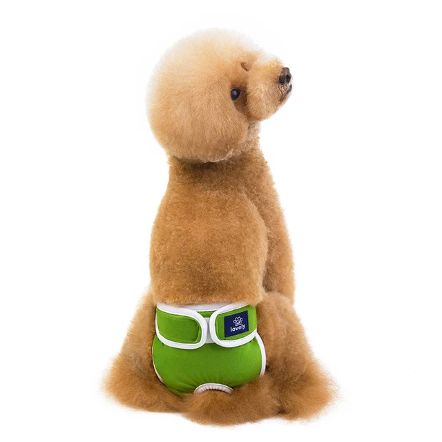 Dog Physiological Pants Solid Color Washable Diaper Washable Sanitary Panties Shorts Female Dog Briefs Pet Menstrual Pants green