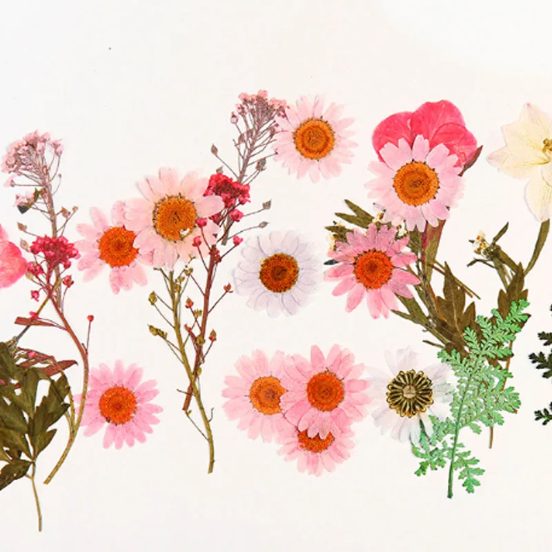 Высокое качество Популярные Лидер продаж мини Bloemen засушенные цветы небольшой "сделай сам" сохранить букет 25 шт./пакет прессованные цветы украшения дома