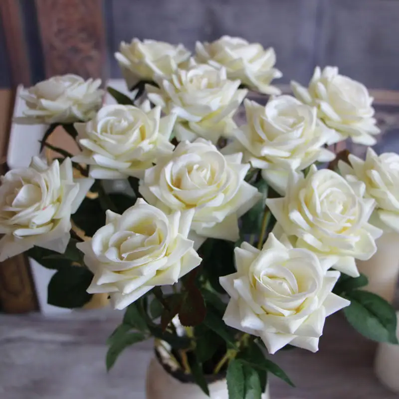 2752592283_666701632